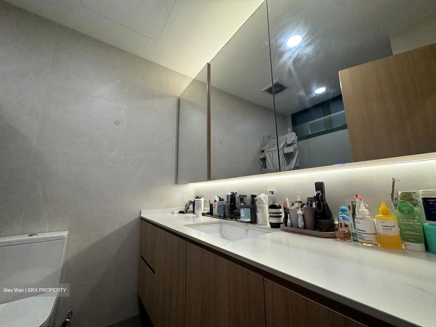 Signature Park (D21), Condominium #610432471